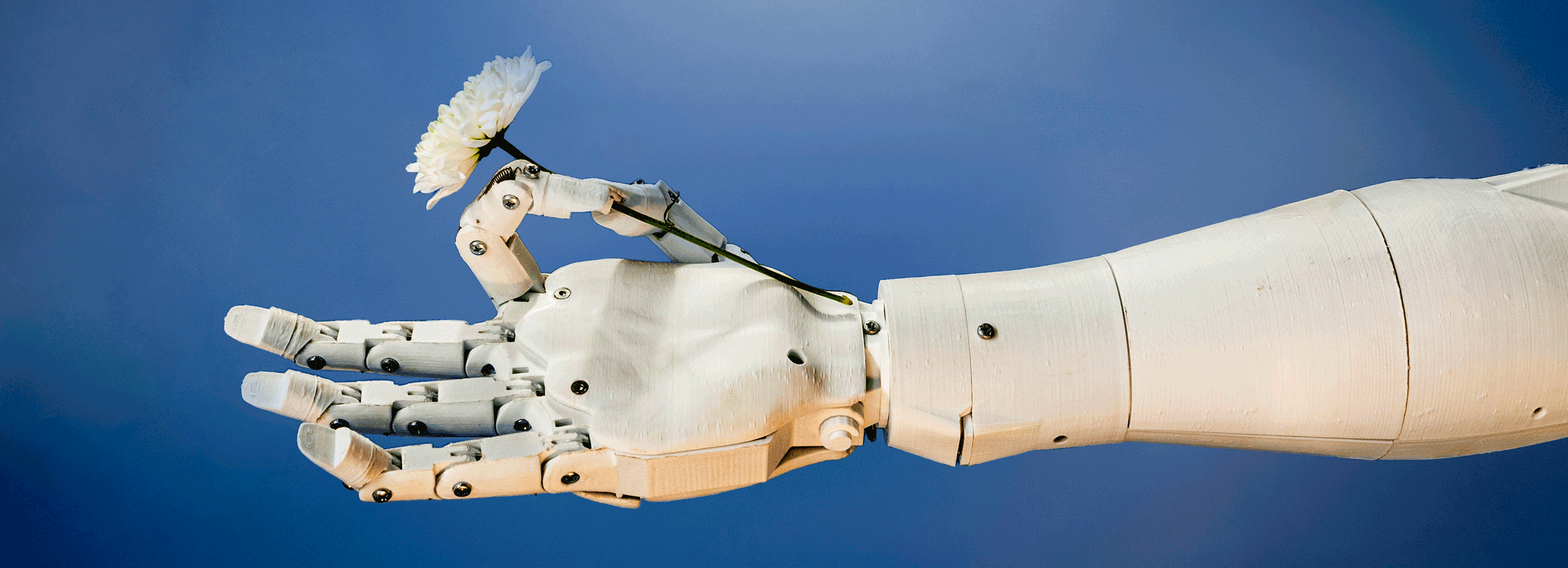 O ISEL lança o seu primeiro programa de doutoramento, o Cyber-Physical Systems for Sustainable Development (CPS-SD), com início no ano letivo 2026/2027, assinalando um momento histórico para a instituição.