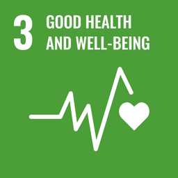 SDG 3 &ndash; Good Health and Well-being