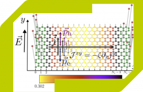 Seminário de Física - Hydrodynamics of particle-hole symmetric systems: a combined kinetic theory and Quantum Monte Carlo approach