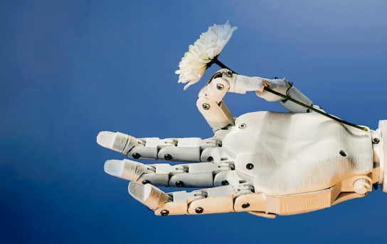 O ISEL lança o seu primeiro programa de doutoramento, o Cyber-Physical Systems for Sustainable Development (CPS-SD), com início no ano letivo 2026/2027, assinalando um momento histórico para a instituição.